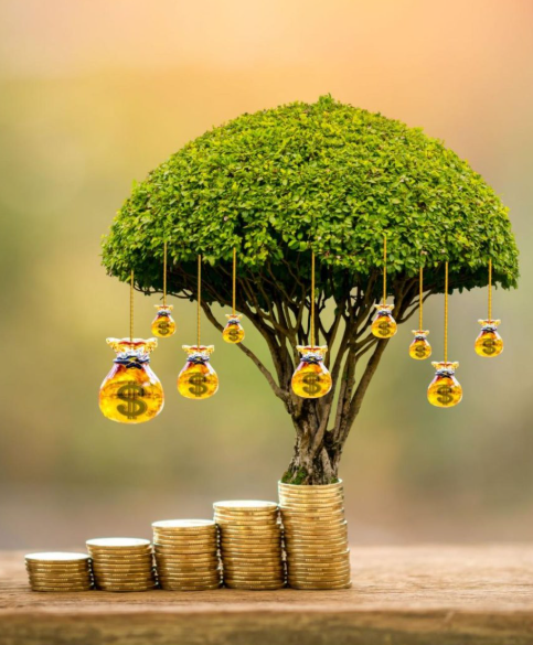 Top Alternative Investment Options in 2025 Top Alternative Investment Options in 2025