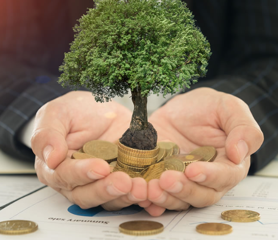 How to Manage Your Own Investment Portfolio: A Beginner’s Guide