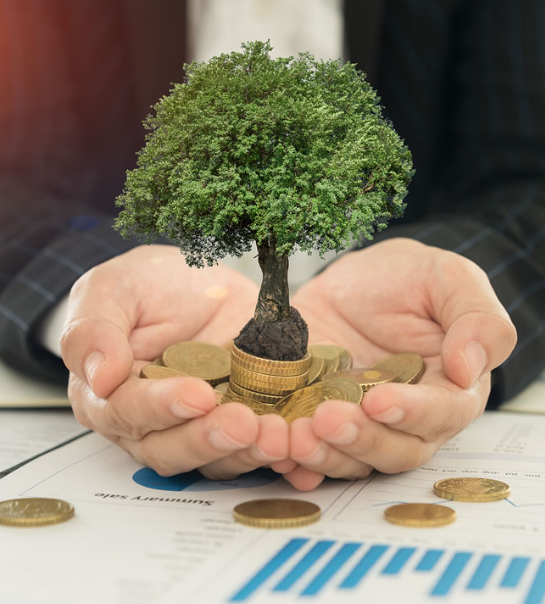 How to Manage Your Own Investment Portfolio: A Beginner’s Guide