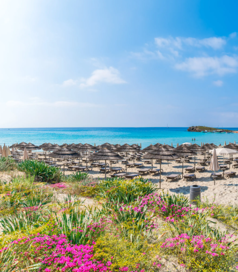 23 Countries Without Income Tax: Your Ultimate Guide for 2025